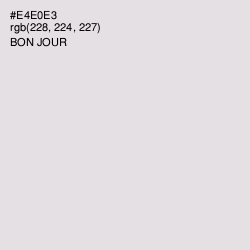 #E4E0E3 - Bon Jour Color Image